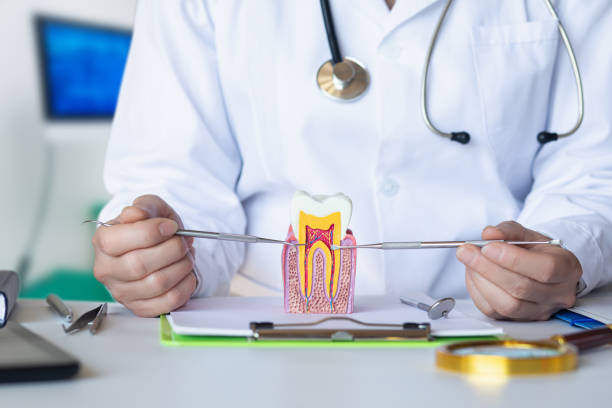 Best Orthodontic Emergency Dentist in Harrah, OK